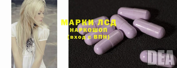трава Коряжма