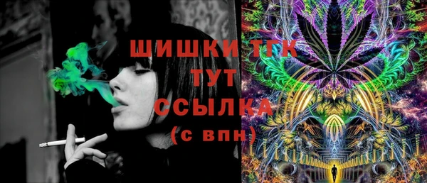 амф Козловка