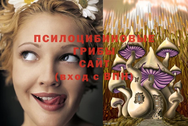 амф Козловка