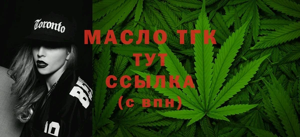 трава Коряжма