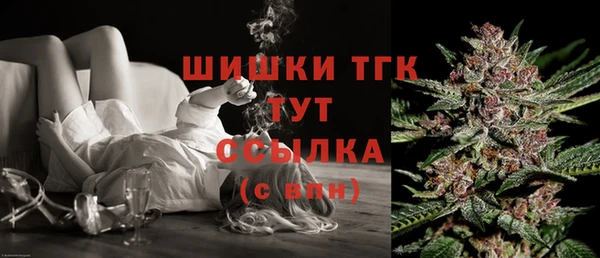 трава Коряжма