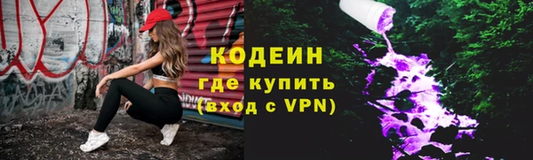 трава Коряжма