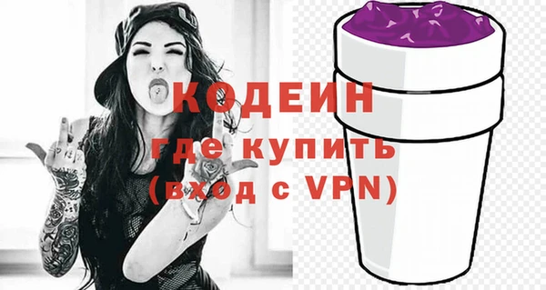 трава Коряжма